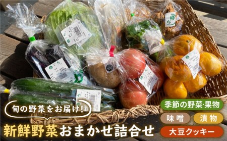 新鮮野菜・加工品 おまかせ詰め合わせ野菜 フルーツ 漬物[HAG015]