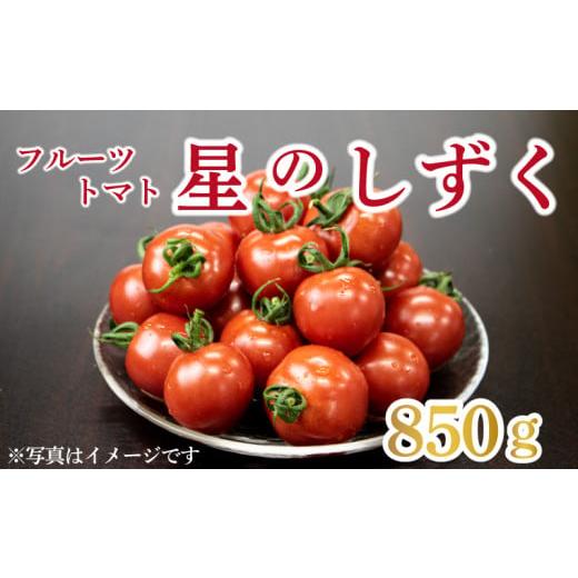 ふるさと納税 徳島県 阿波市 野菜 トマト  フルーツトマト 850g 以上 先行予約 11月発送 完熟 糖度8以上 スイーツ ギフト 贈答用 星のしずく 人気急上昇