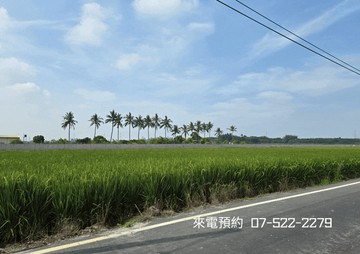 【獨家】路竹捷運未來核心｜樹人段科技增值地｜高雄市路竹區樹人段