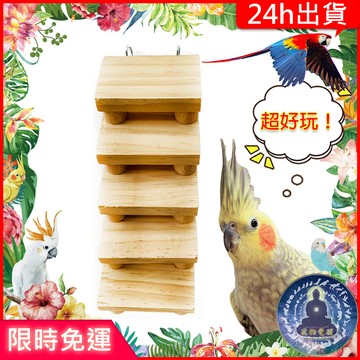 【寵物覺醒24h出貨】鸚鵡倉鼠小寵樓梯爬梯攀爬黃金鼠三線鼠老公公鼠一線鼠
