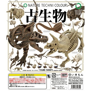 𓅓MOCHO𓅓 現貨 IKIMON 扭蛋 NTC圖鑑-古生物 全6種 單顆