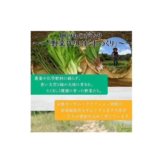 ふるさと納税 京都府 亀岡市 ＜アスカ有機農園＞旬の京野菜セットL（平飼い卵付）＊毎月お届け全4回≪定期便 ふるさと納税野菜 たまご≫