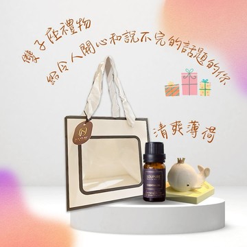 【soupure溯璞家品】雙子座禮物 給令人開心和說不完的話題的你  清爽綠薄荷擴香石組