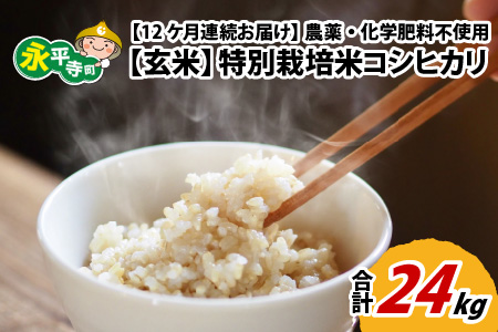 令和5年度産 永平寺町産 農薬不使用・化学肥料不使用 特別栽培米 コシヒカリ 2kg×12ヶ月（計24kg） [I-033048]