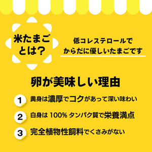 ココテラスの名古屋コーチンの卵かけ御飯セット