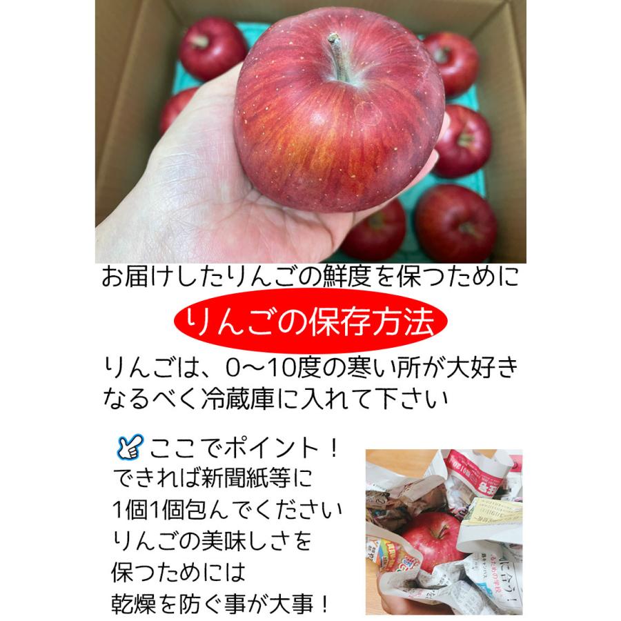 りんご サンふじ 訳あり 12玉入 お試し 送料無料 りんご 青森 サンふじ りんご 12玉入 ご家庭用 糖度保証 予約 11月上旬頃発送