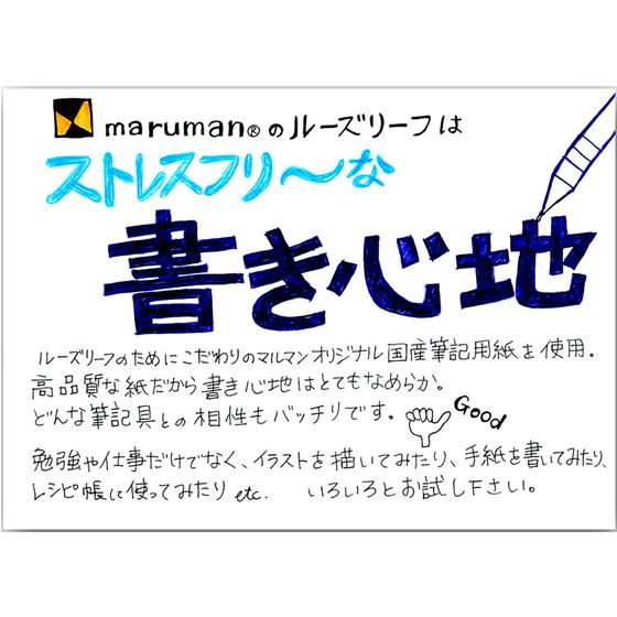 マルマン 書きやすいルーズリーフ B5 無地(下敷付)100枚 L1206H