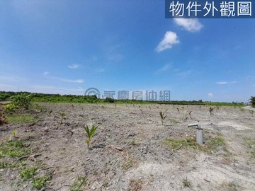 新埤都市農夫多筆|有排水|有電|15米路旁|｜屏東縣新埤鄉新華段