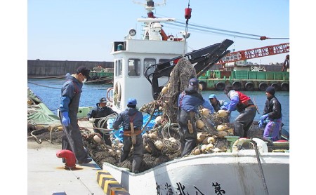 北海道産 新巻鮭 網元特製 半身2切れ 2.2kg 前後