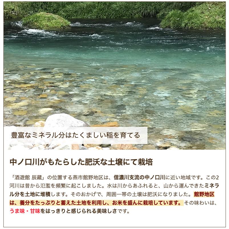 新潟産こしいぶき 精米10kg 酒遊館 辰藏 送料無料