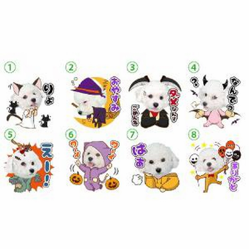 うちの子lineスタンプ ゆるハロウィンセット 写真でつくるオリジナルlineスタンプ 犬用 通販 Lineポイント最大7 0 Get Line ショッピング