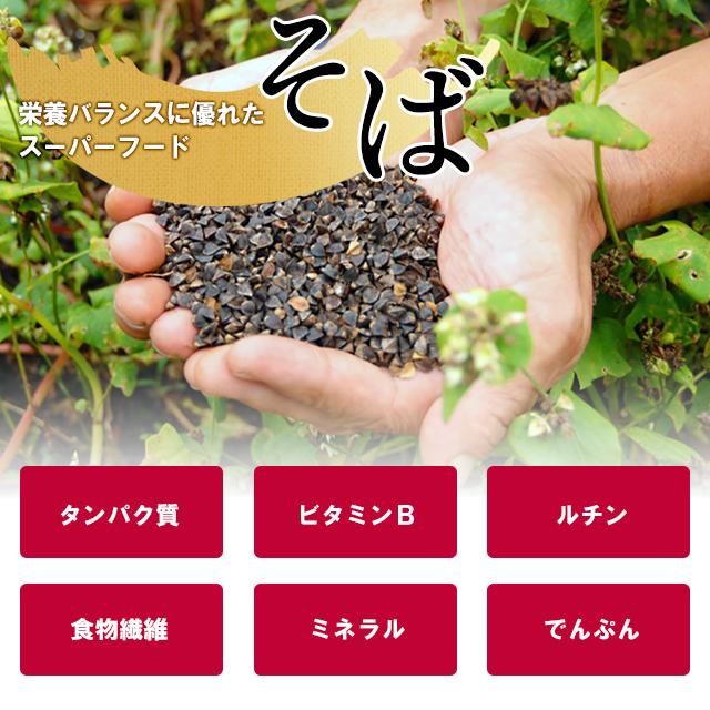 お歳暮 そば 蕎麦 ギフト 送料無料 北海道 新得そば 詰め合わせ(SB-30HT)   御歳暮 冬ギフト おそば 蕎麦 ソバ 蕎麦セット 内祝い 御祝い セット 詰め合わせ