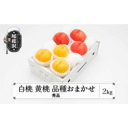 ふるさと納税 先行予約 もも 白桃 有袋黄桃 秀品 詰め合わせ 品種おまかせ 2kg フルーツ 化粧箱入 果物 アソート 2024年産 令和6年産 山形県産.. 山形県尾花沢市