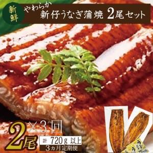 ふるさと納税 AD-91　やわらか新仔うなぎ蒲焼120〜140ｇ　2尾×3回　計720ｇ以上 茨城県行方市