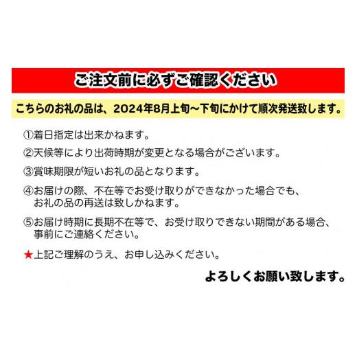 ふるさと納税 沖縄県 豊見城市 豊見城産マンゴーセット（大）