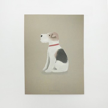 Wirefoxterrier剛毛獵狐梗明信片-水彩畫