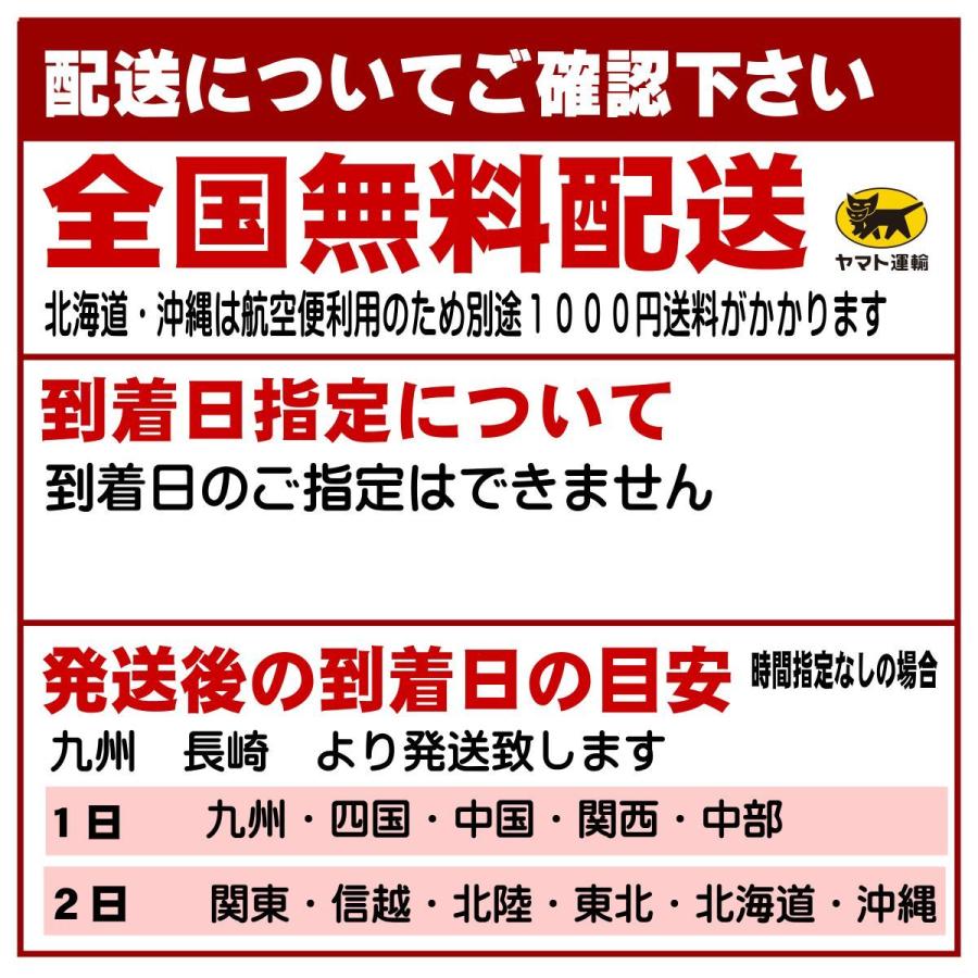 島原 手延べ 生そうめん 800g 島原 麺商ふるせ