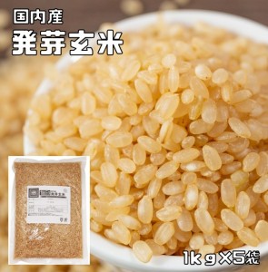 発芽玄米 5ｋg 豆力 北海道産 玄米 玄氣 米 発芽米 無洗米タイプ 日本米 国産米 国内産 穀物 健康米