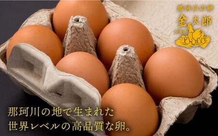 鮮度ＡＡ級の世界最高ランク！金太郎卵 平飼い たまご 60個（6個×10パック）＜有限会社 フジノ香花園＞那珂川市 定期便 卵  たまご 平飼い 定期便 卵かけご飯 [GAM012]