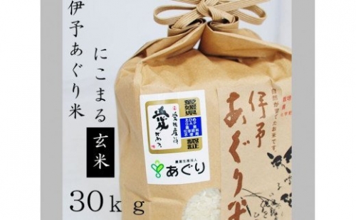 ★令和５年産をお届けします！！★農薬・化学肥料不使用　伊予あぐり米「にこまる」（玄米30ｋｇ）