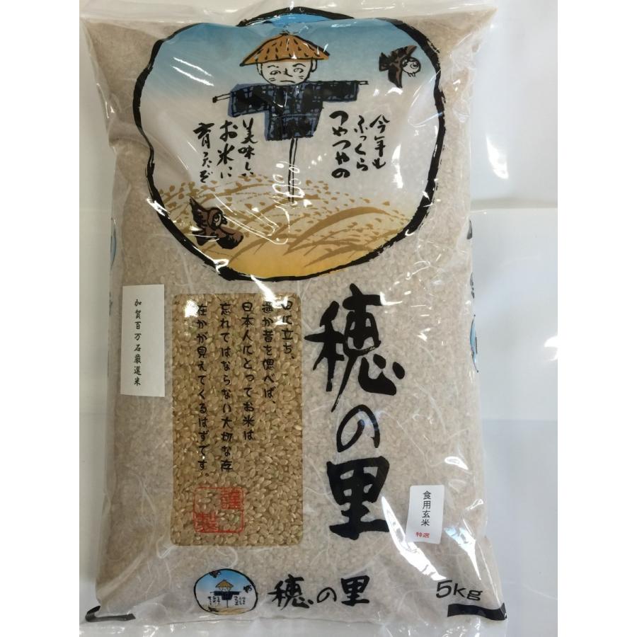 令和5年産 新米 加賀百万石 お米 こしひかり 厳選コシヒカリ 石川県産   食用 玄米 ５Kg