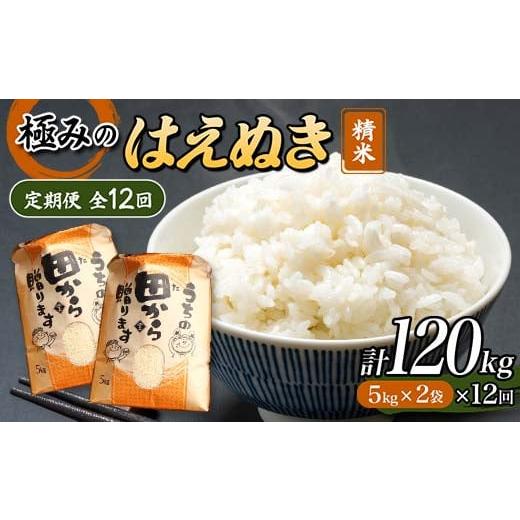 ふるさと納税 山形県 新庄市 令和5年産 極みのはえぬき 5kg×2（精米）全12回 米 お米 おこめ 山形県 新庄市 F3S-1699