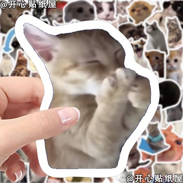 🔥臺灣出貨🔥 208張趣味錶情包貓MEME貼紙搞笑沙鵰網絡熱梗圖diy手賬筆記本貼畵