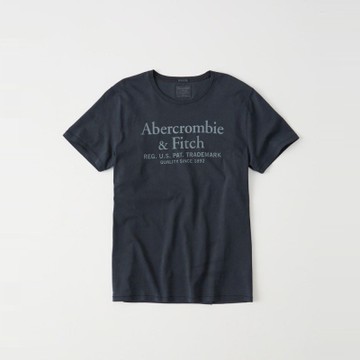 af a&f Abercrombie & Fitch 短袖 T恤 藍色 312