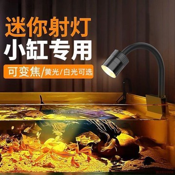 桃園出貨✨USB小型缸專用迷你射燈南美魚缸造景魚缸夾燈溪流缸魚缸燈led燈