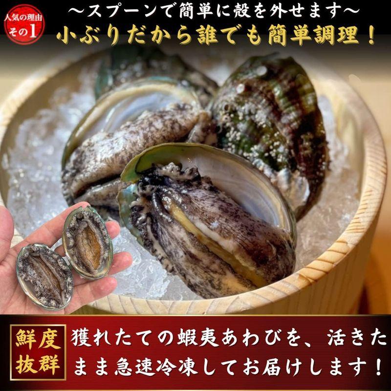 お刺身 蝦夷あわび アワビ 500ｇ（約15個入）あわび 海鮮 BBQ