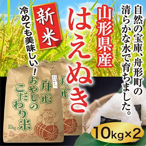 はえぬき新米20ｋｇ（10×2）　山形県産　令和5年産　精白米　送料無料（沖縄離島除く）産直