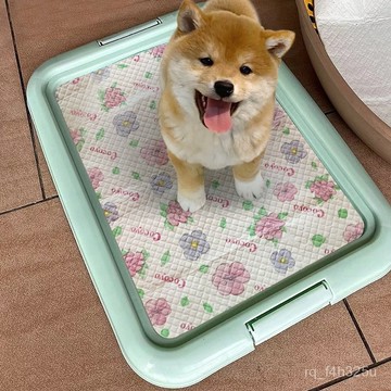 [24時熱賣]寵物厠所 貓砂盆狗廁所小型犬小狗不溼腳防踩屎狗狗廁所大中型犬平闆廁所盆便盆 HXZM