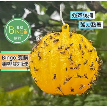 賓購 果蠅誘補神器 黏果實蠅球 飛蟲誘捕器 黏蠅板 粘性陷阱球 針蜂蚊蟲球 果蠅剋星 果蠅誘捕器 捕果蠅 黏蠅球 補蠅球