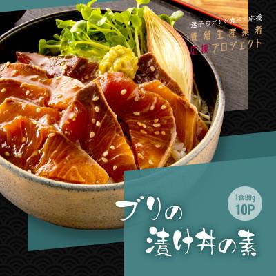 ふるさと納税 芸西村 高知の海鮮丼の素「ブリの漬け」1食80g×10Pセット 