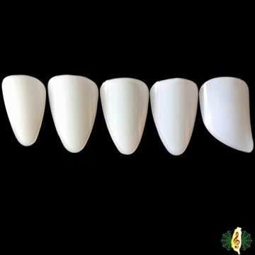 琵琶 指甲 [網音樂城] 演奏級 尼龍 義甲 大號 5片一組 Pipa nail