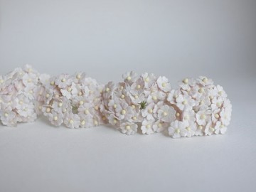 紙花，用品，100 件。加拿大海葵，尺寸 1.0 厘米，蕾絲色