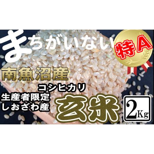 ふるさと納税 新潟県 南魚沼市 玄米 生産者限定 南魚沼しおざわ産コシヒカリ2Kg