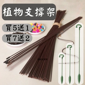 【台灣現貨-免運】植物支架 植物支撐桿 植物支撐 鐵絲支撐棒 植物支撐架 園藝支架 盆栽支架 植物花架 龜背芋
