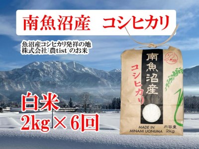  コシヒカリ 白米２kg×６回