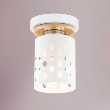 E27 北歐風單吸頂燈 B20-13-64871