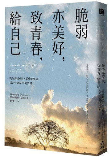 脆弱亦美好，致青春，給自己：  從沉潛到成長、蛻變到堅強，探索生命的36封情書[二手書_良好]