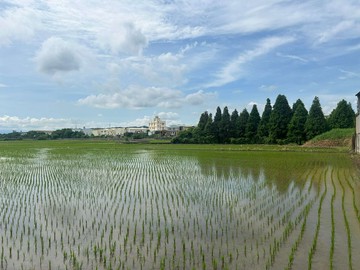 專任彰化東區816坪農地｜彰化縣彰化市三村段
