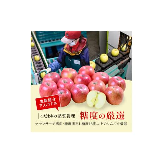 ふるさと納税 青森県 弘前市 （蜜入り・13度糖度保証）贈答用葉とらずサンふじ約5kg