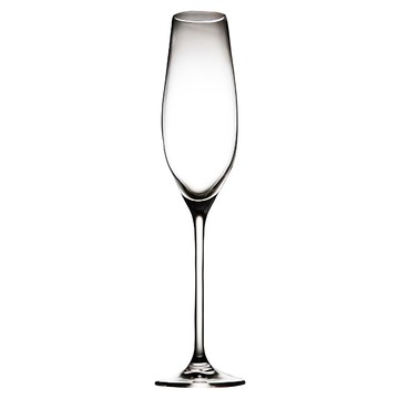 RONA Celebration歡慶系列 香檳杯 Set 6  210ml  1組