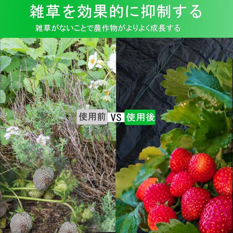 防草シート 園芸用雑草防止シート 雑草防止 除草シート 厚手 高透水性 雑草シート 高密