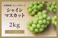 土にこだわったシャインマスカット　2kg　3房以上