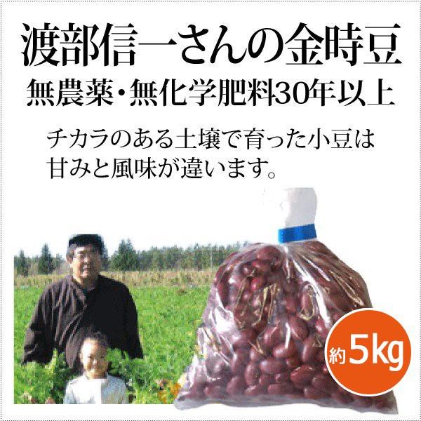 北海道産 無農薬 金時豆 渡部信一さんの金時豆（約1kg×５袋） 無農薬・無化学肥料栽培30年の美味しい金時豆 渡部信一さんは化学薬品とは無縁