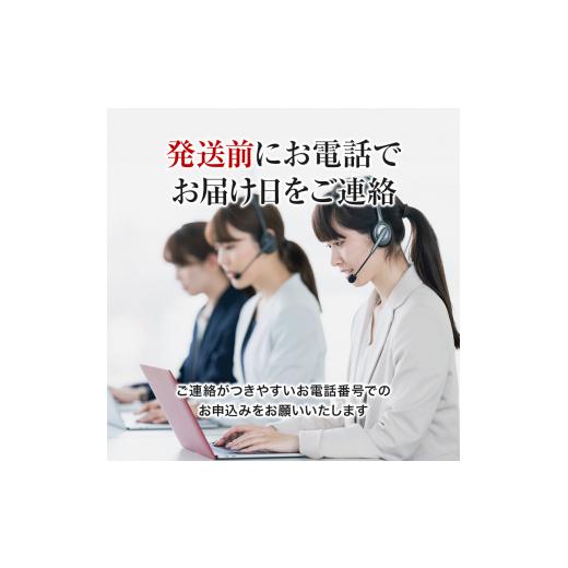 ふるさと納税 秋田県 にかほ市 発送メールのみ 日本海の鮮魚詰め合わせ（2〜3人前 下処理済み 切り身 魚介 セット）