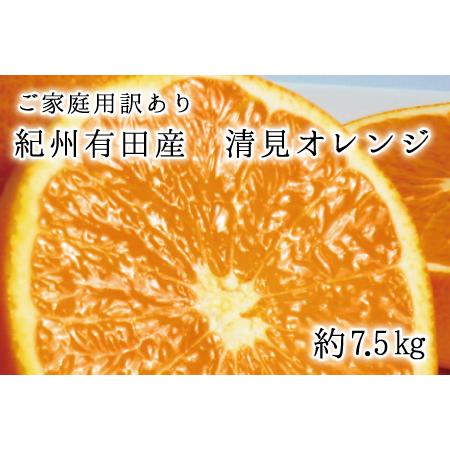 ふるさと納税 紀州有田産清見オレンジ7.5kg サイズお任せ ※2024年3月下旬頃〜2024年4月下旬頃に順次発送予定(お届け日指定.. 和歌山県北山村