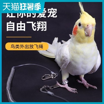 鸚鵡腳環放飛繩牽引遛鳥訓練用品鏈子玄鳳牡丹虎皮輕盈不傷耐咬啄